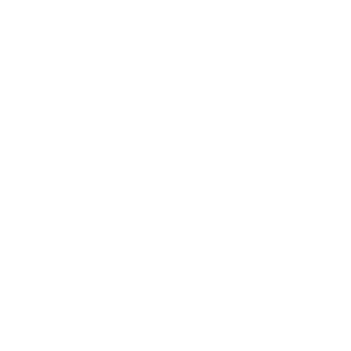 icon fns