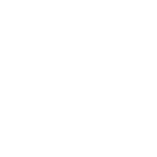 icon iwc